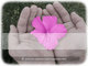 anniversaryquotes.net greeting wallpaper small
