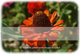 anniversaryquotes.net greeting wallpaper small
