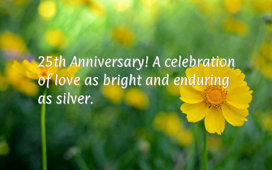 Silver wedding anniversary