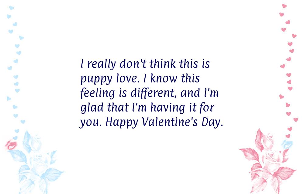 Valentines day quote