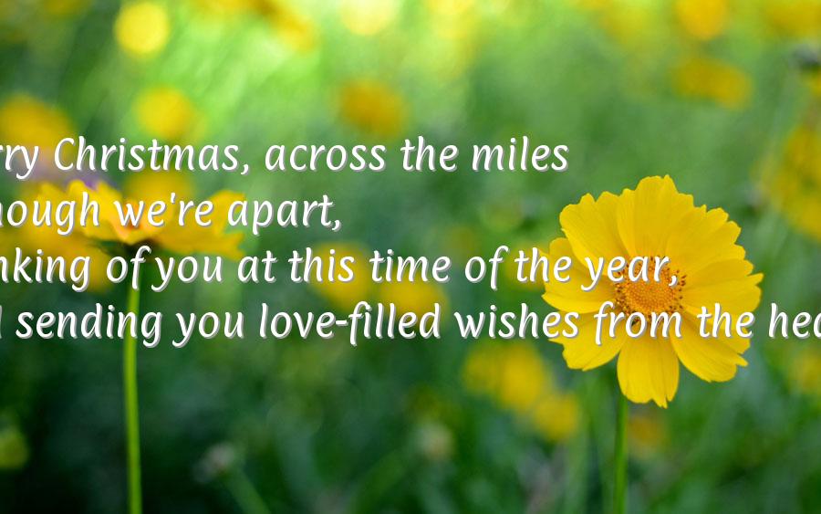 Wishes for christmas
