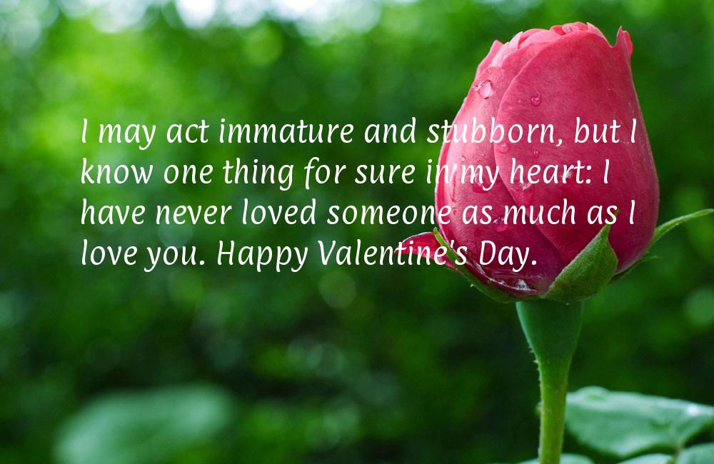 Valentines day funny quotes
