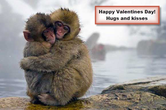 Sweet Hug for Valentines Day
