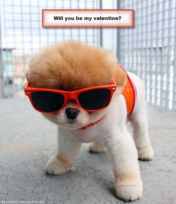 Hipster Puppy Valentine Card