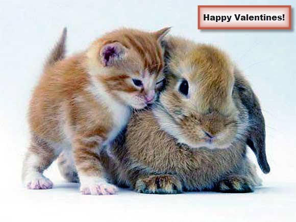 Kitten And Rabbit Valentines Day Hug