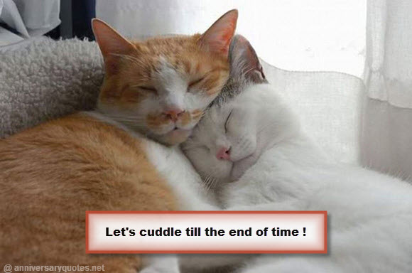 Lets Cuddle Together Cats Valentines