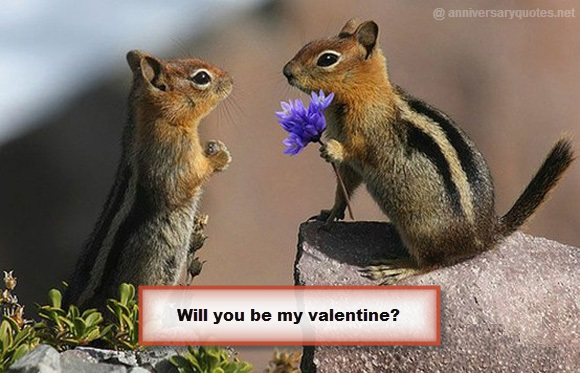 Will You Be My valentine Squirells Flower