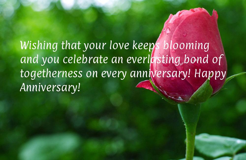 Happy Anniversary Quotes - Homecare24